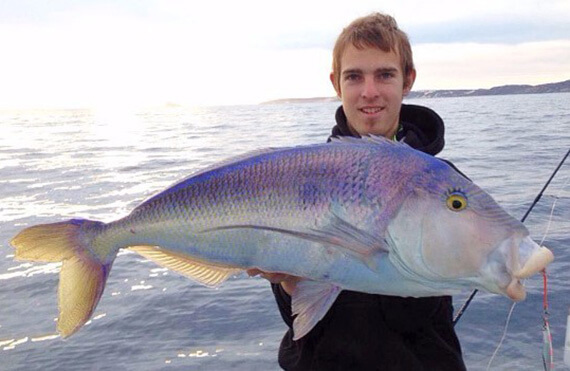 👑 Queen Snapper 👑 Released to fight another day. #pennfishinganz  #berkleyfishingaus #westernaustralia