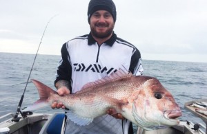 South west pink snapper