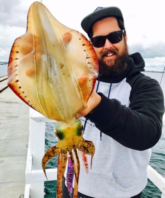 South west squid 19102017 | ilovefishing