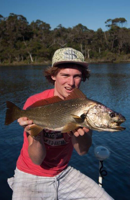 Estuary mulloway