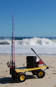 DockStar Fishing Cart