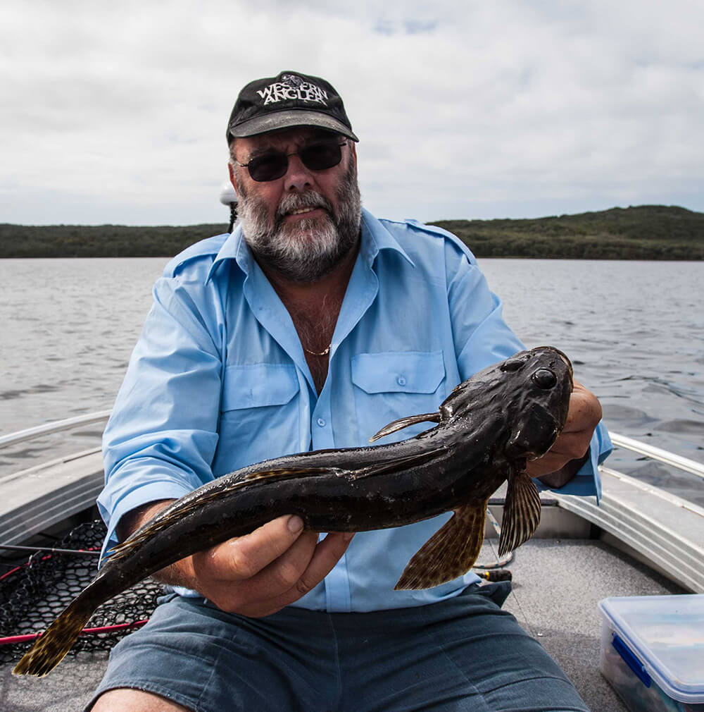 Estuary flathead