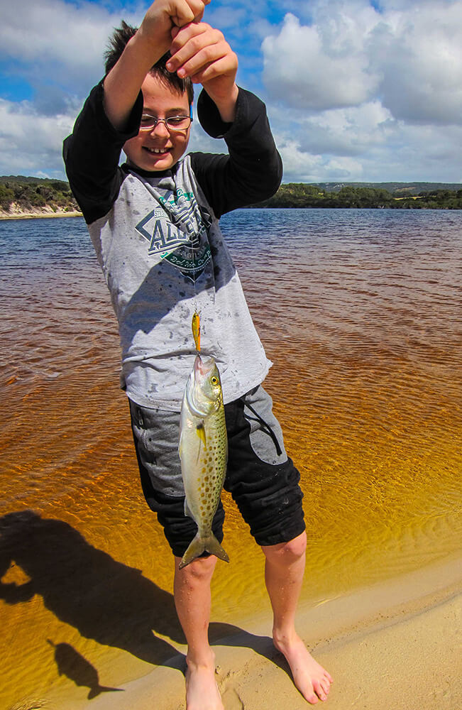 Estuary herring