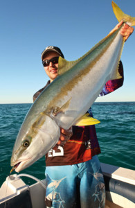 Yellow tail king fish perth