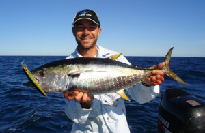 Yellowfin tuna perth