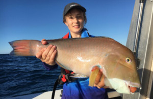 Kalbarri baldchin groper