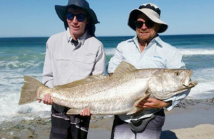 Kalbarri mulloway