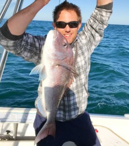 South west pink snapper