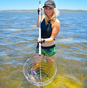 Mandurah blue swimmer crab